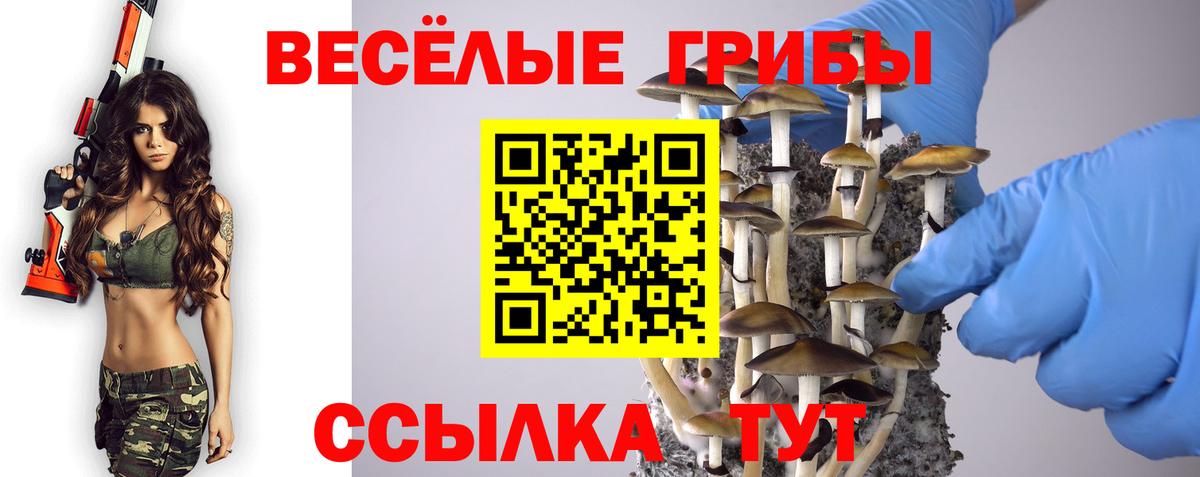 закладки  Галлюциногенные грибы прущие грибы  Вход с VPN  Галлюциногенные грибы Magic Shrooms  Усть-Лабинск 